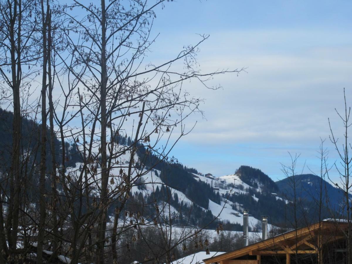 Landhaus Erharter Kitzbuhel Ngoại thất bức ảnh